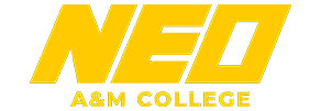 NEO am College